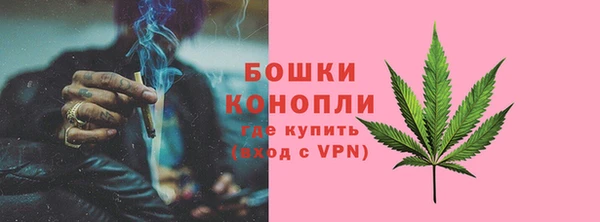 apvp Аркадак