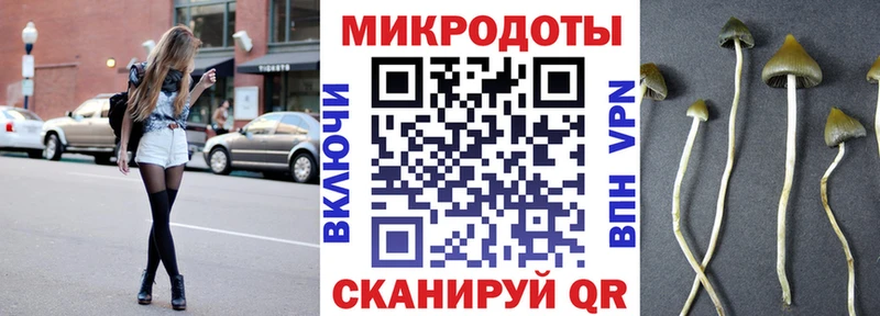Псилоцибиновые грибы ЛСД  ссылка на мегу маркетплейс  Балей 